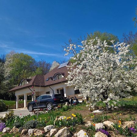 Hotel Provence Suceava Exterior foto