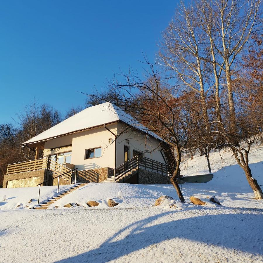 Hotel Provence Suceava Exterior foto