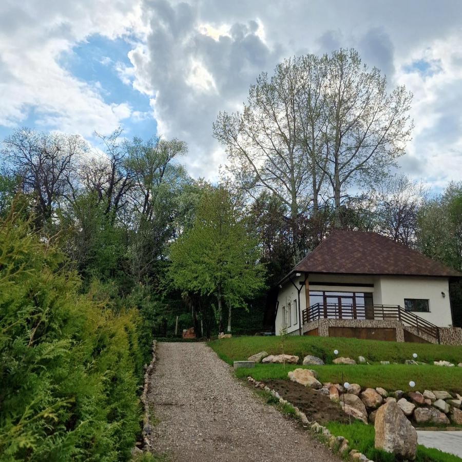 Hotel Provence Suceava Exterior foto
