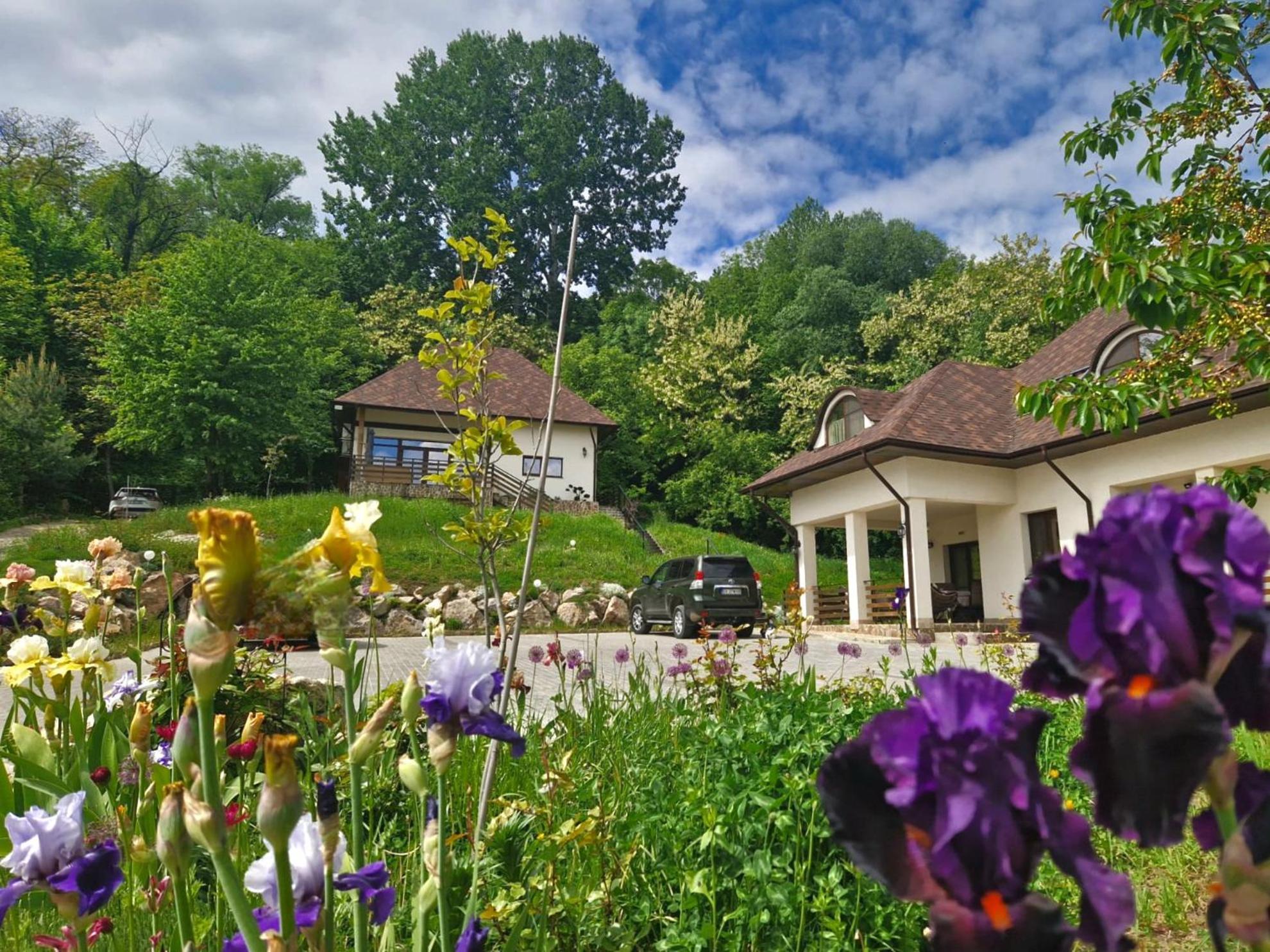 Hotel Provence Suceava Exterior foto