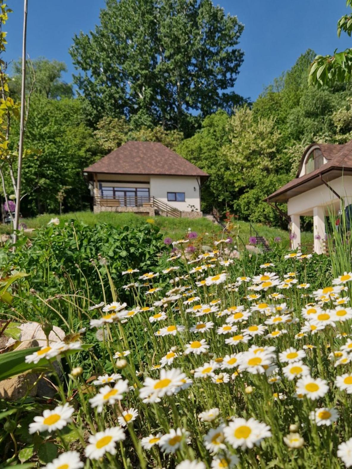 Hotel Provence Suceava Exterior foto