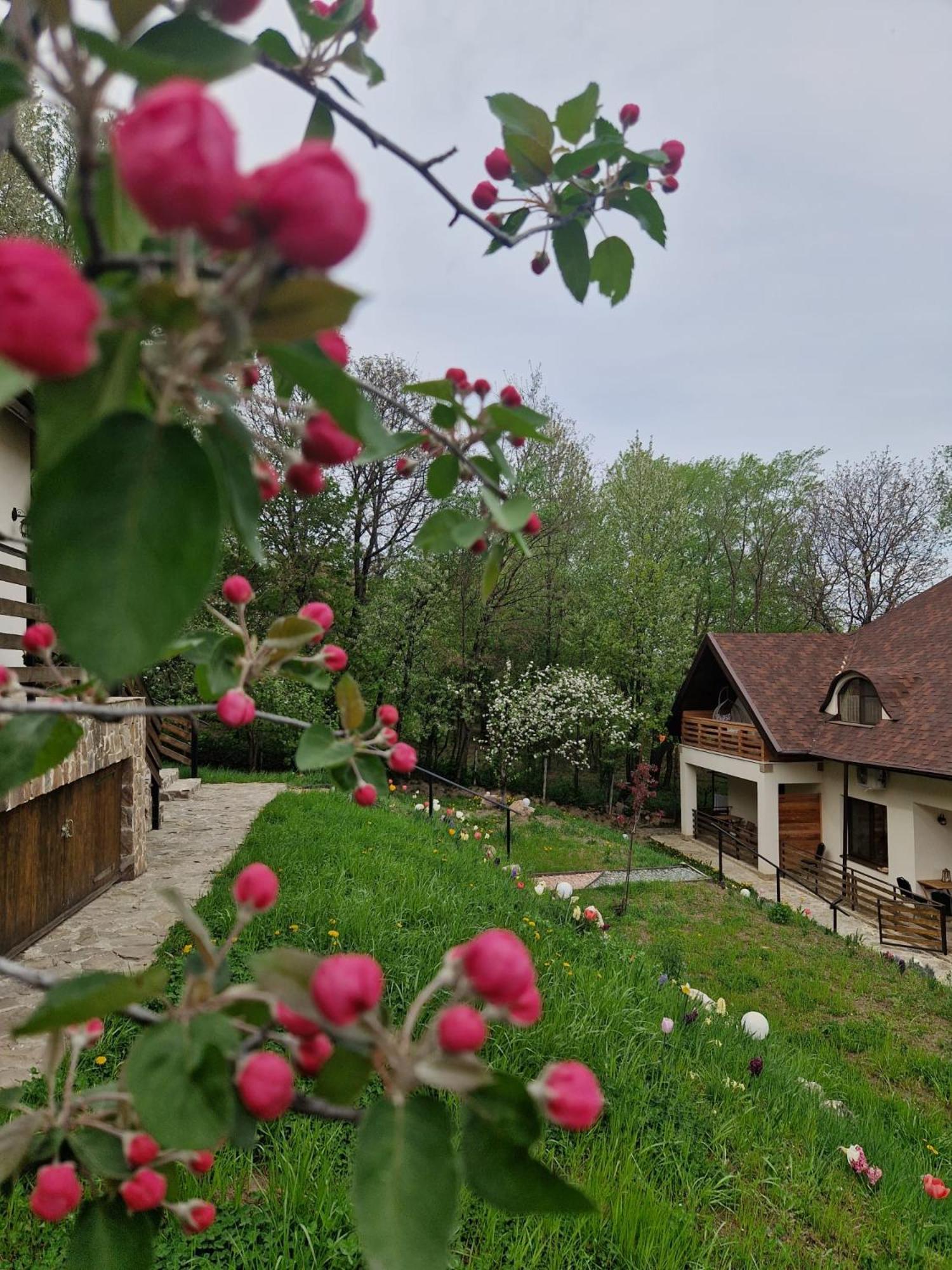Hotel Provence Suceava Exterior foto